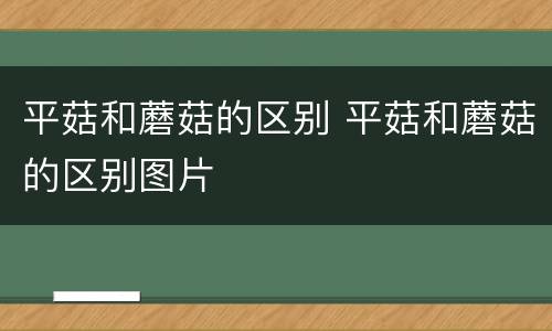 平菇和蘑菇的区别 平菇和蘑菇的区别图片
