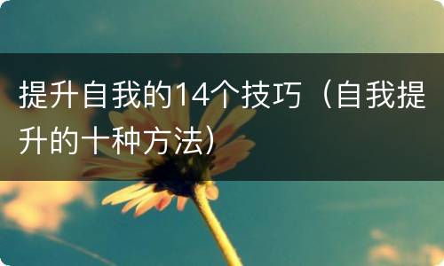 提升自我的14个技巧（自我提升的十种方法）