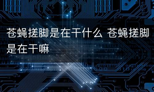 苍蝇搓脚是在干什么 苍蝇搓脚是在干嘛