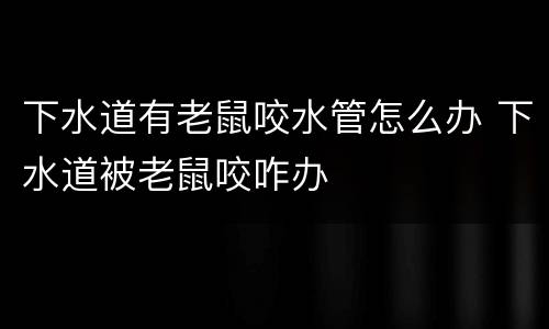 下水道有老鼠咬水管怎么办 下水道被老鼠咬咋办