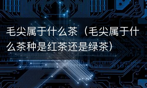 毛尖属于什么茶（毛尖属于什么茶种是红茶还是绿茶）