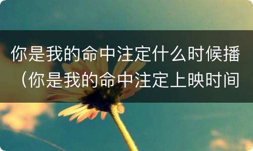 你是我的命中注定什么时候播（你是我的命中注定上映时间）