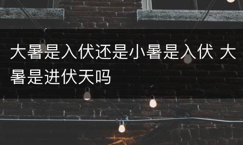 大暑是入伏还是小暑是入伏 大暑是进伏天吗