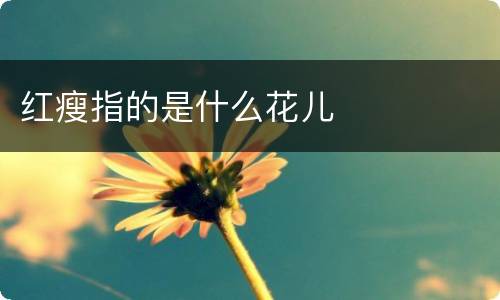红瘦指的是什么花儿