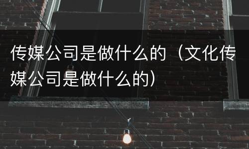 传媒公司是做什么的（文化传媒公司是做什么的）