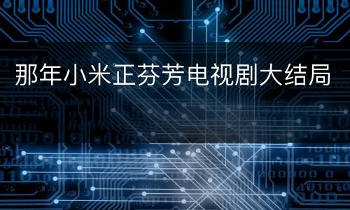 那年小米正芬芳电视剧大结局