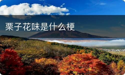 栗子花味是什么梗