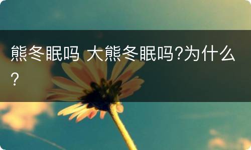 熊冬眠吗 大熊冬眠吗?为什么?