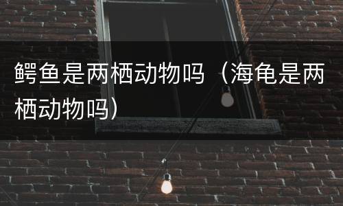 鳄鱼是两栖动物吗（海龟是两栖动物吗）