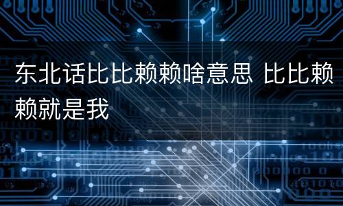 东北话比比赖赖啥意思 比比赖赖就是我