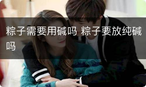 粽子需要用碱吗 粽子要放纯碱吗