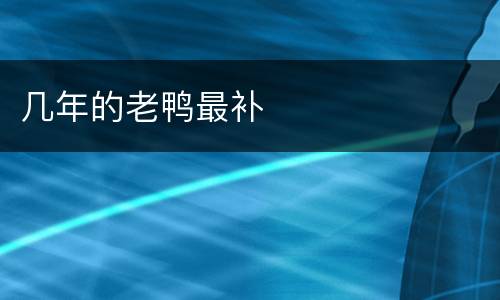 几年的老鸭最补