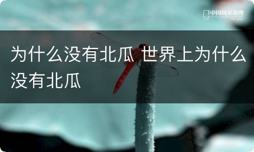 为什么没有北瓜 世界上为什么没有北瓜