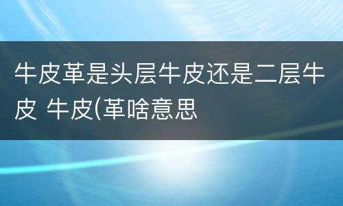 牛皮革是头层牛皮还是二层牛皮 牛皮(革啥意思