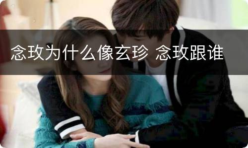 念玫为什么像玄珍 念玫跟谁