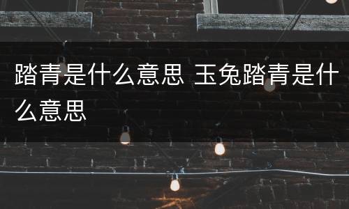 踏青是什么意思 玉兔踏青是什么意思