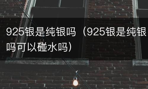 925银是纯银吗（925银是纯银吗可以碰水吗）