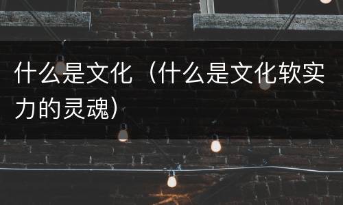 什么是文化（什么是文化软实力的灵魂）