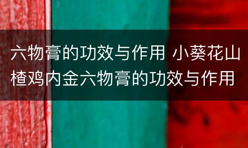 六物膏的功效与作用 小葵花山楂鸡内金六物膏的功效与作用