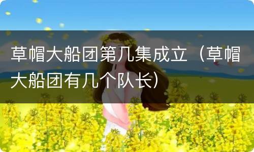 草帽大船团第几集成立（草帽大船团有几个队长）