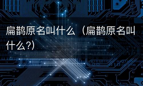 扁鹊原名叫什么（扁鹊原名叫什么?）