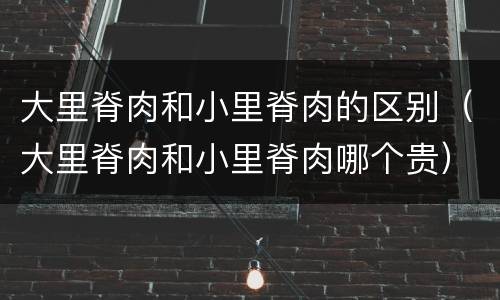 大里脊肉和小里脊肉的区别（大里脊肉和小里脊肉哪个贵）