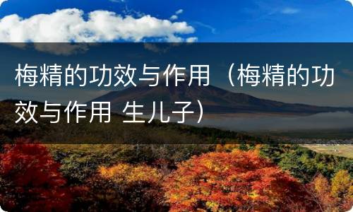 梅精的功效与作用（梅精的功效与作用 生儿子）