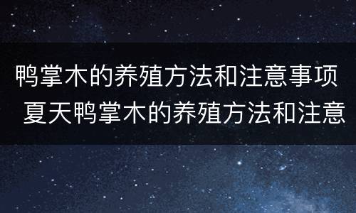 鸭掌木的养殖方法和注意事项 夏天鸭掌木的养殖方法和注意事项