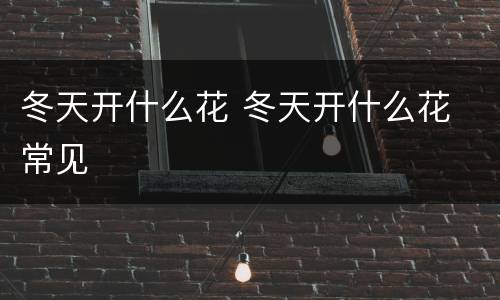 冬天开什么花 冬天开什么花 常见