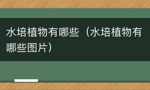 水培植物有哪些（水培植物有哪些图片）