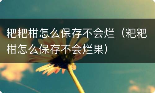 粑粑柑怎么保存不会烂（粑粑柑怎么保存不会烂果）