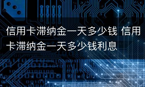 信用卡滞纳金一天多少钱 信用卡滞纳金一天多少钱利息
