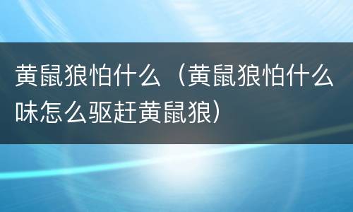 黄鼠狼怕什么（黄鼠狼怕什么味怎么驱赶黄鼠狼）