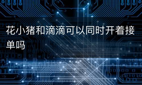 花小猪和滴滴可以同时开着接单吗