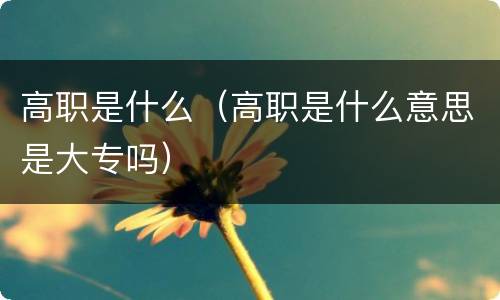 高职是什么（高职是什么意思是大专吗）