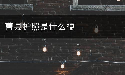 曹县护照是什么梗