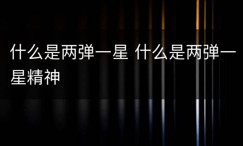什么是两弹一星 什么是两弹一星精神