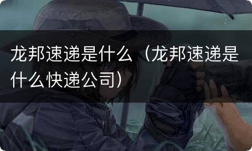 龙邦速递是什么（龙邦速递是什么快递公司）