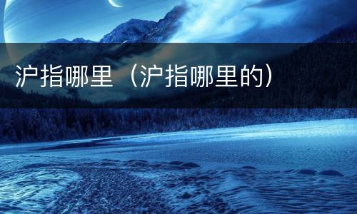 沪指哪里（沪指哪里的）