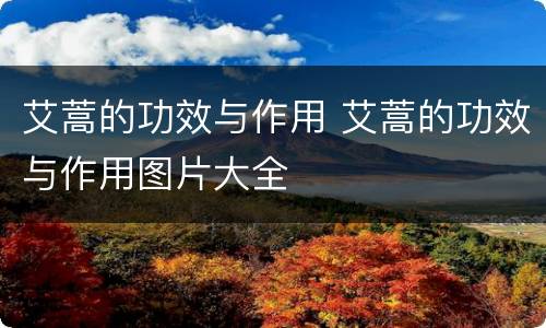 艾蒿的功效与作用 艾蒿的功效与作用图片大全