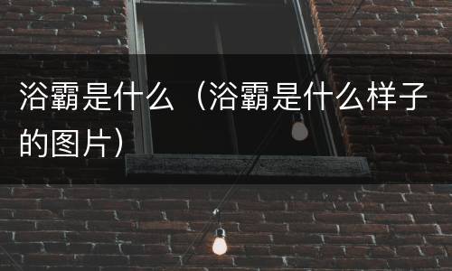 浴霸是什么（浴霸是什么样子的图片）