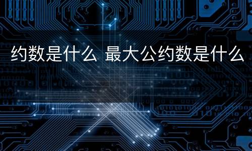 约数是什么 最大公约数是什么