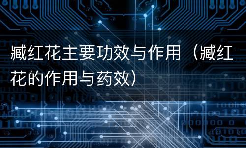臧红花主要功效与作用（臧红花的作用与药效）