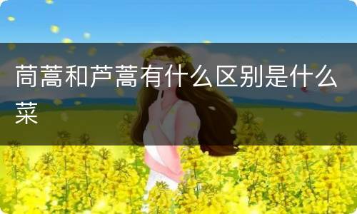 茼蒿和芦蒿有什么区别是什么菜