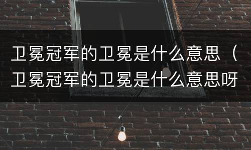 卫冕冠军的卫冕是什么意思（卫冕冠军的卫冕是什么意思呀）