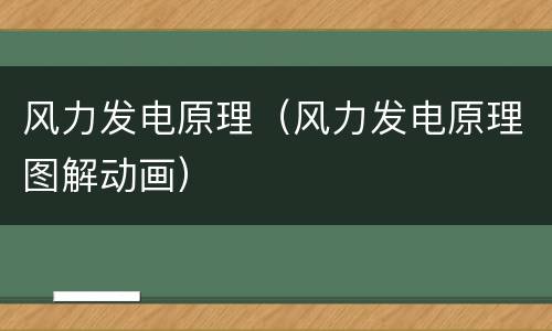 风力发电原理（风力发电原理图解动画）