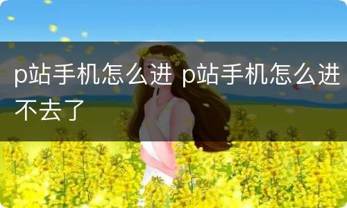 p站手机怎么进 p站手机怎么进不去了