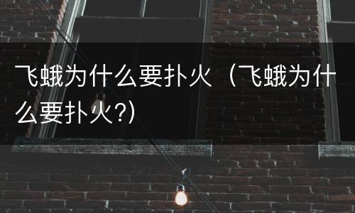 飞蛾为什么要扑火（飞蛾为什么要扑火?）