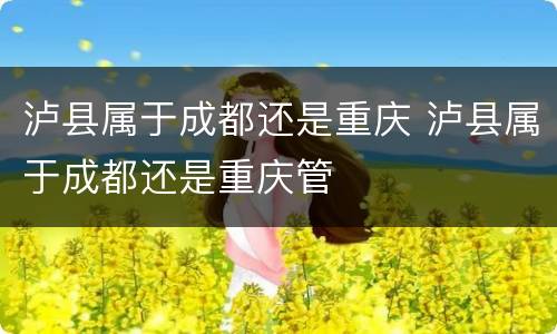 泸县属于成都还是重庆 泸县属于成都还是重庆管