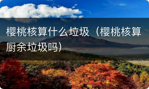樱桃核算什么垃圾（樱桃核算厨余垃圾吗）